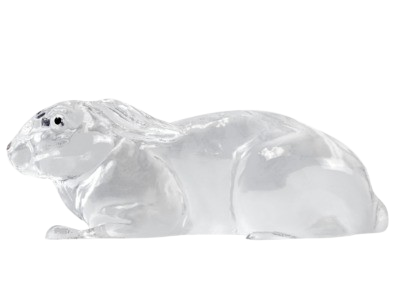Gel Rabbit 3-D Target